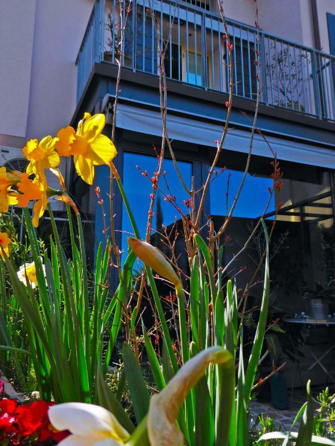 Fiorenzuola di Focara Fiorenzuola Bed & Breakfast المظهر الخارجي الصورة